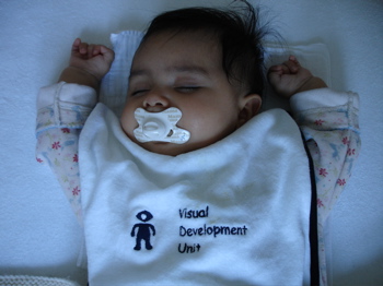 visual dev unit.jpg